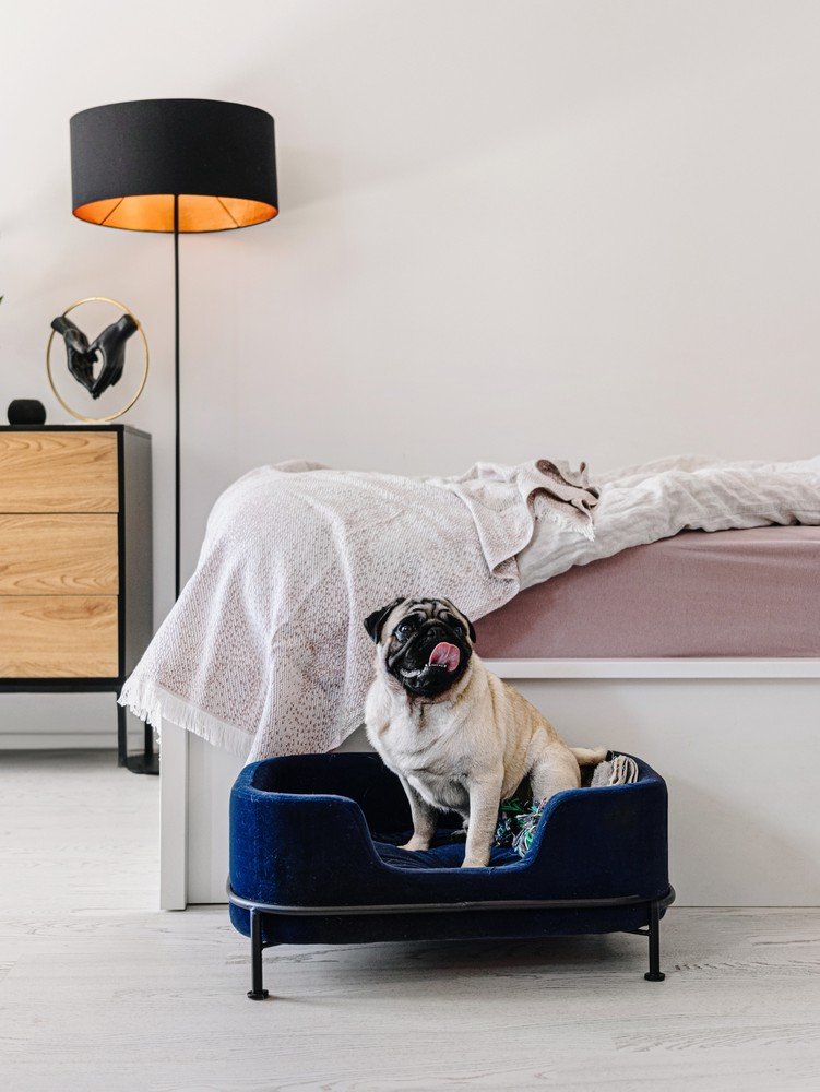 Inspirații: Dormitor