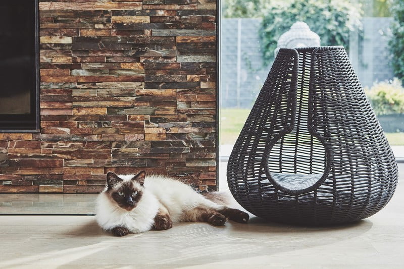 Inspirații: Sufragerie, Articole pentru animale de companie, Stil scandinav