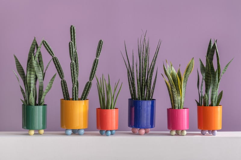 Inspirații: Decorațiuni