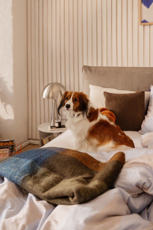 Inspirații: Dormitor