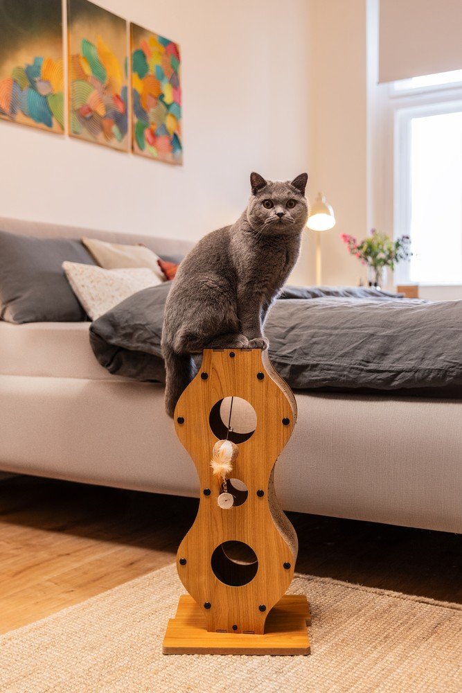 Inspirații: Bonami în vizită