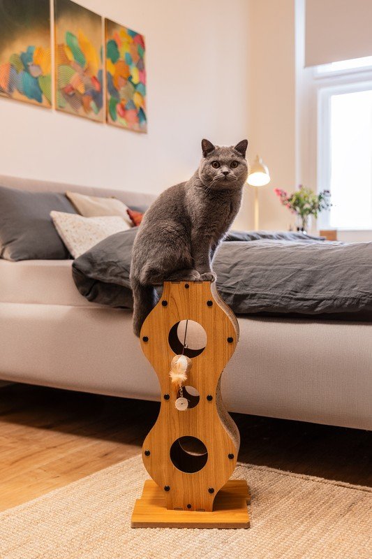 Inspirații: Bonami în vizită