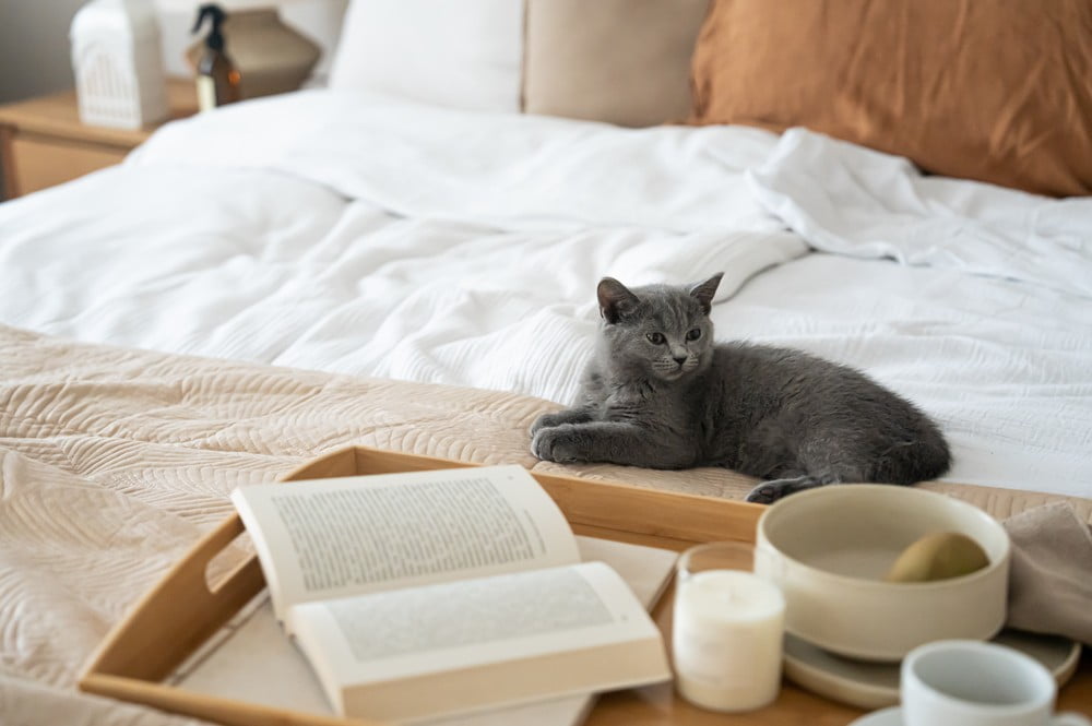 Inspirații: Dormitor, Stil clasic, Toamnă, Textile