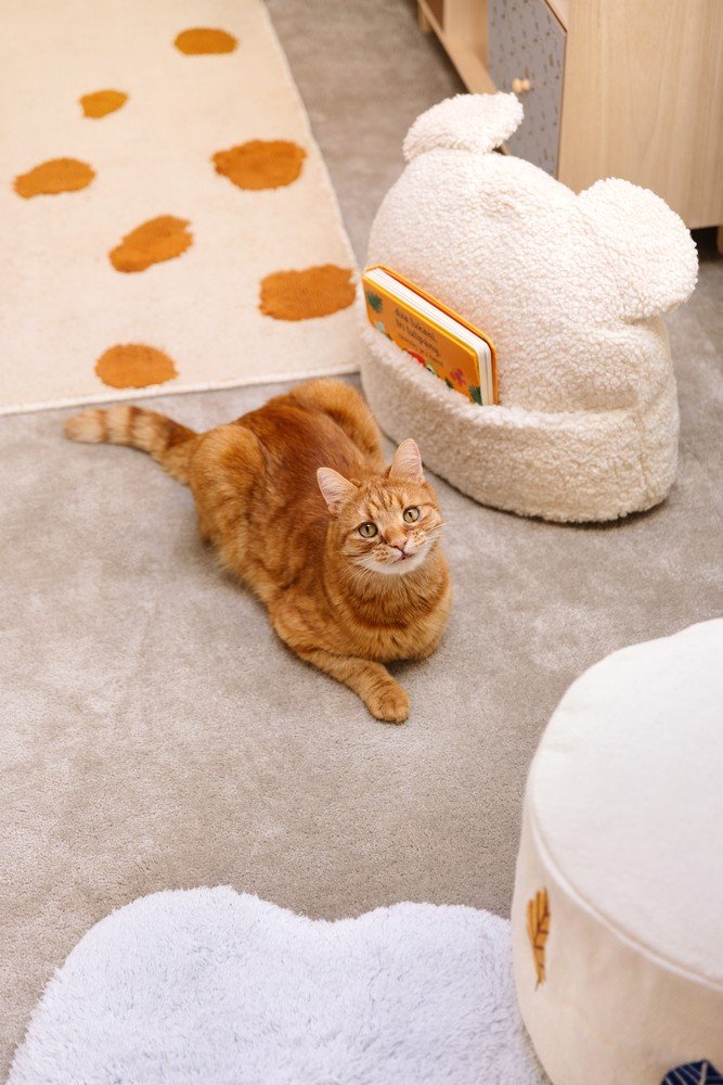 Inspirații: Camera copiilor