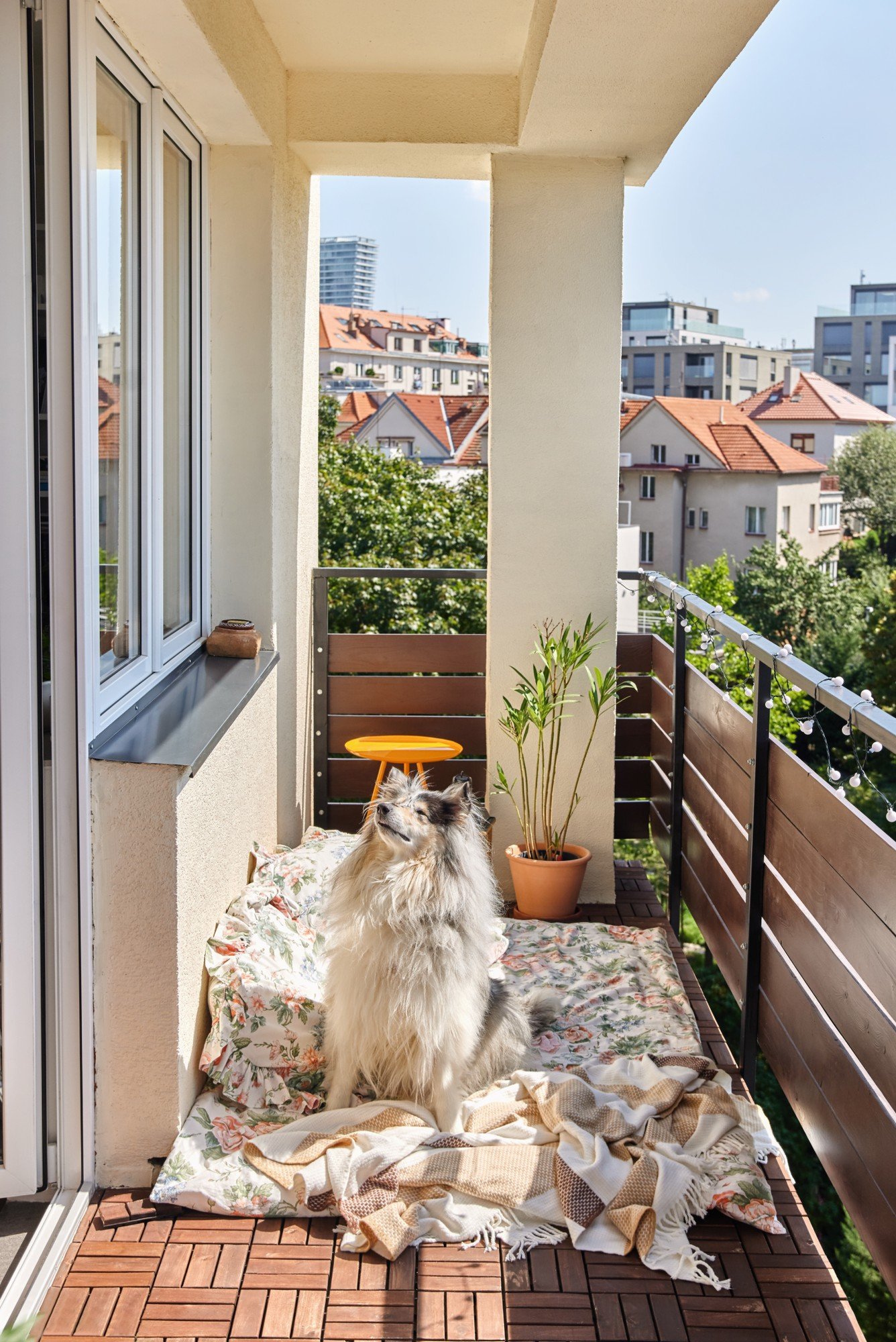 Un colț pe balcon pentru animalul de companie? O saltea de exterior, câteva perne și o pătură moale.