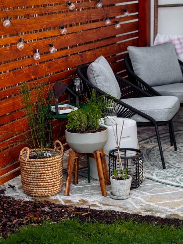 Inspirații: Grădină