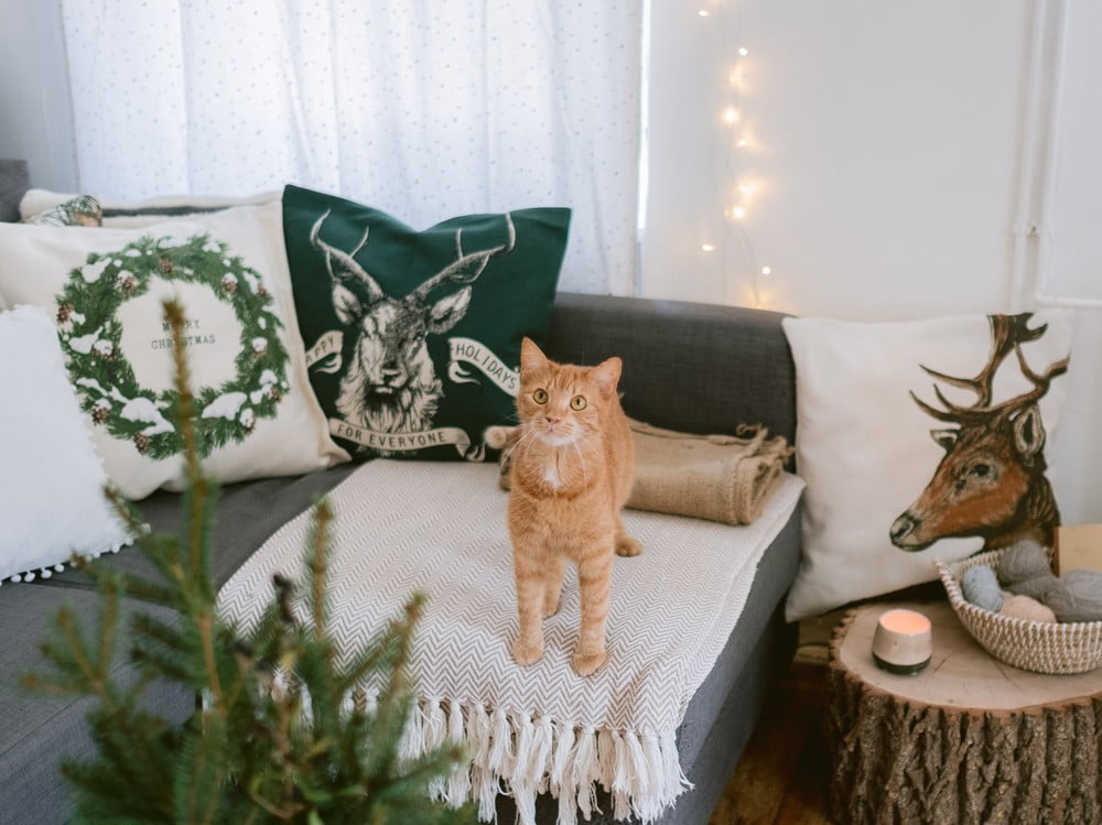 Inspirații: Crăciun, Sufragerie