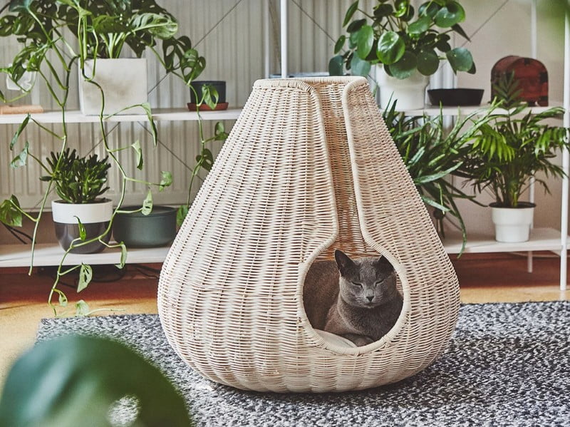 Inspirații: Articole pentru animale de companie