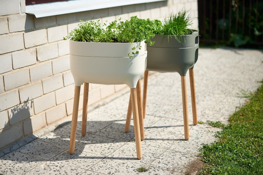 Inspirații: Grădină