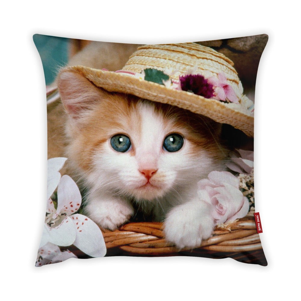 Față de pernă Vitaus Cute Kitten, 43 x 43 cm bonami.ro