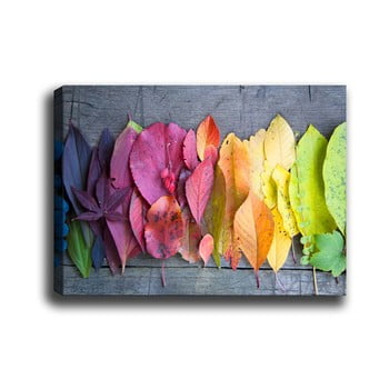 Tablou tablo center gradient leaves, 70 x 50 cm