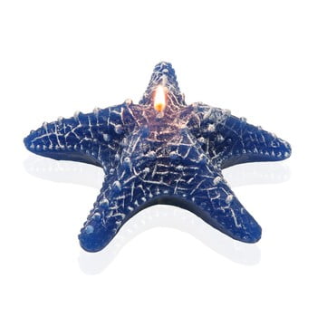 Lumânare decorativă în formă de stea de mare Versa Viera Estrella