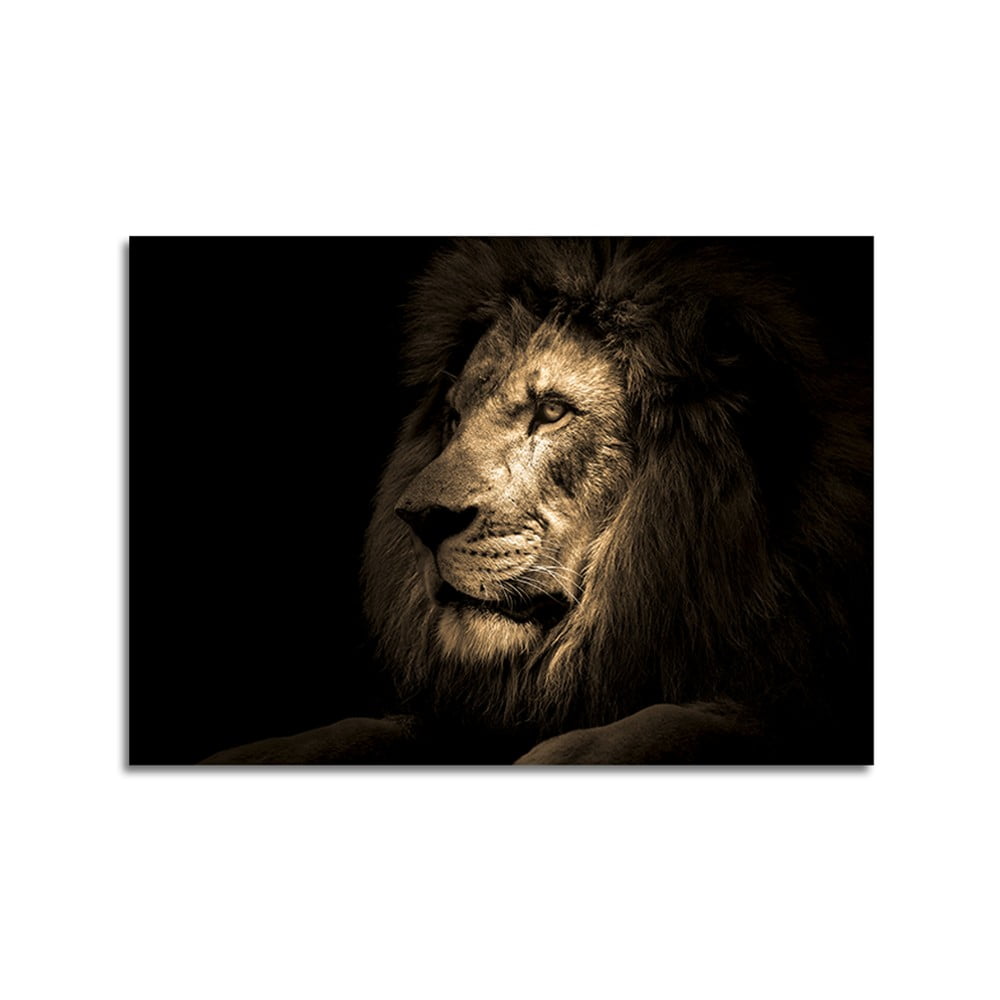 Poza Tablou din sticla Styler Glas Animals Lion, 70 x 100 cm