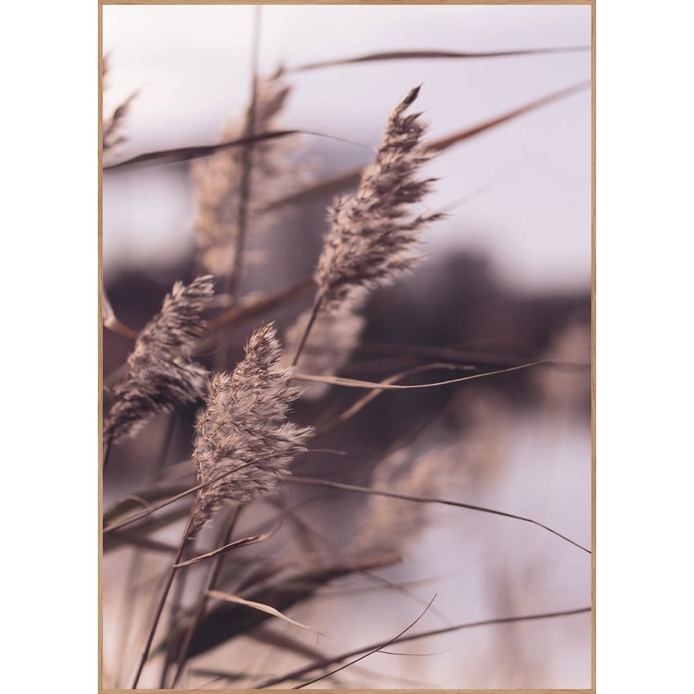 Poster cu ramă 50x70 cm Mellow Grasses 3 – Malerifabrikken