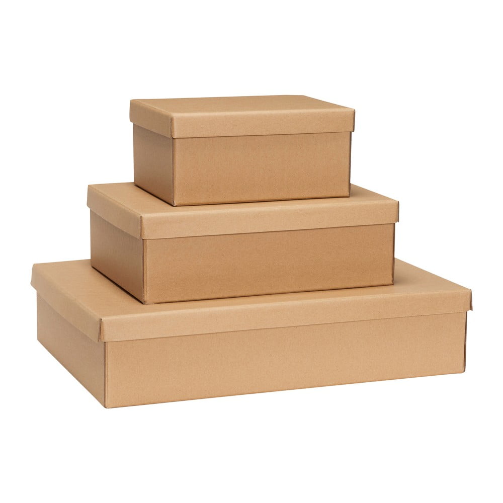 Cutii de depozitare în culoare naturală 3 buc. din carton cu capac 44x31x10 cm Storeit – Hübsch