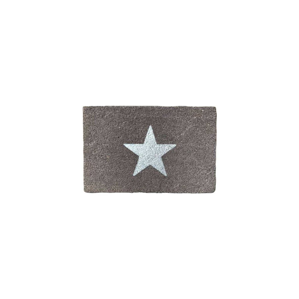Covoraș intrare din fibre de cocos Artsy Doormats Glitter Star, 40 x 60 cm Artsy Doormats imagine 2022