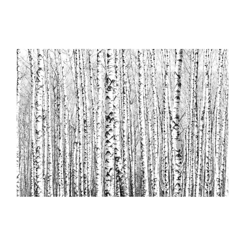 Tapet în format mare Artgeist Birch Forest, 400 x 280 cm Artgeist