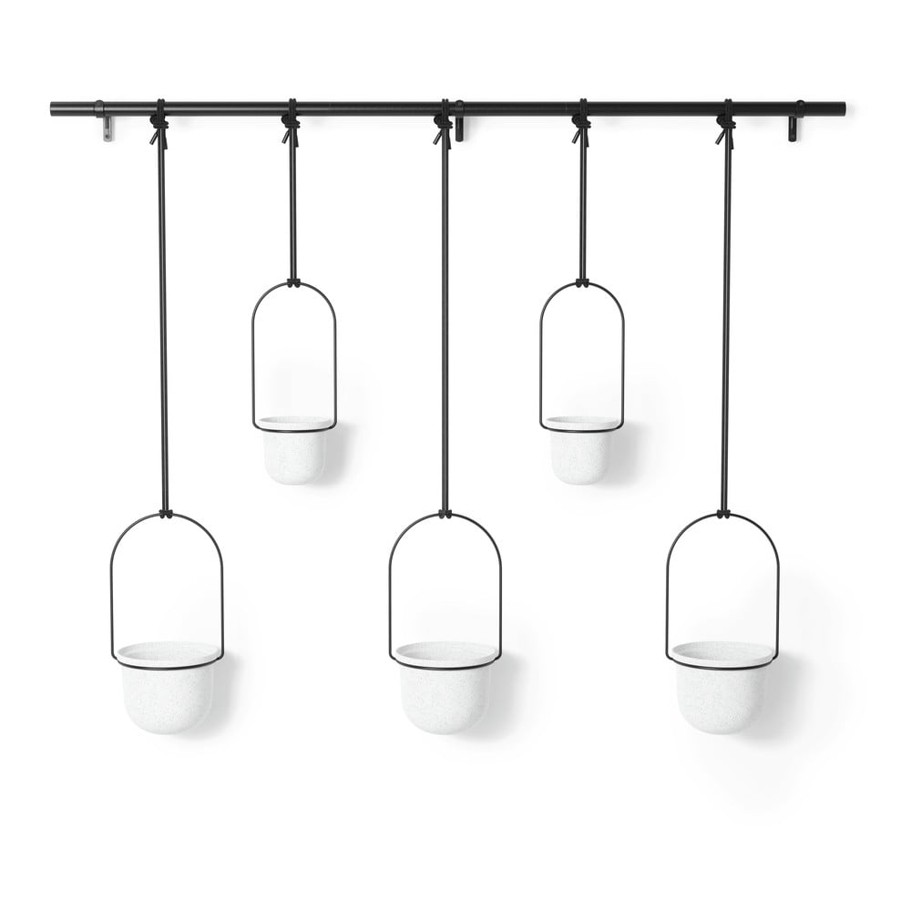 Ghivece decorative 5 buc. din plastic pentru ierburi aromatice/de agățat / de perete ø 7,5 cm Triflora – Umbra