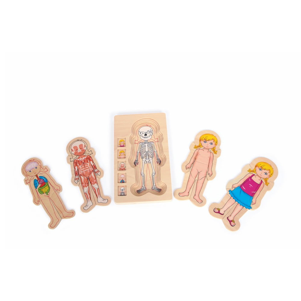 Jucărie din lemn Legler Anatomy Girl bonami.ro imagine 2022