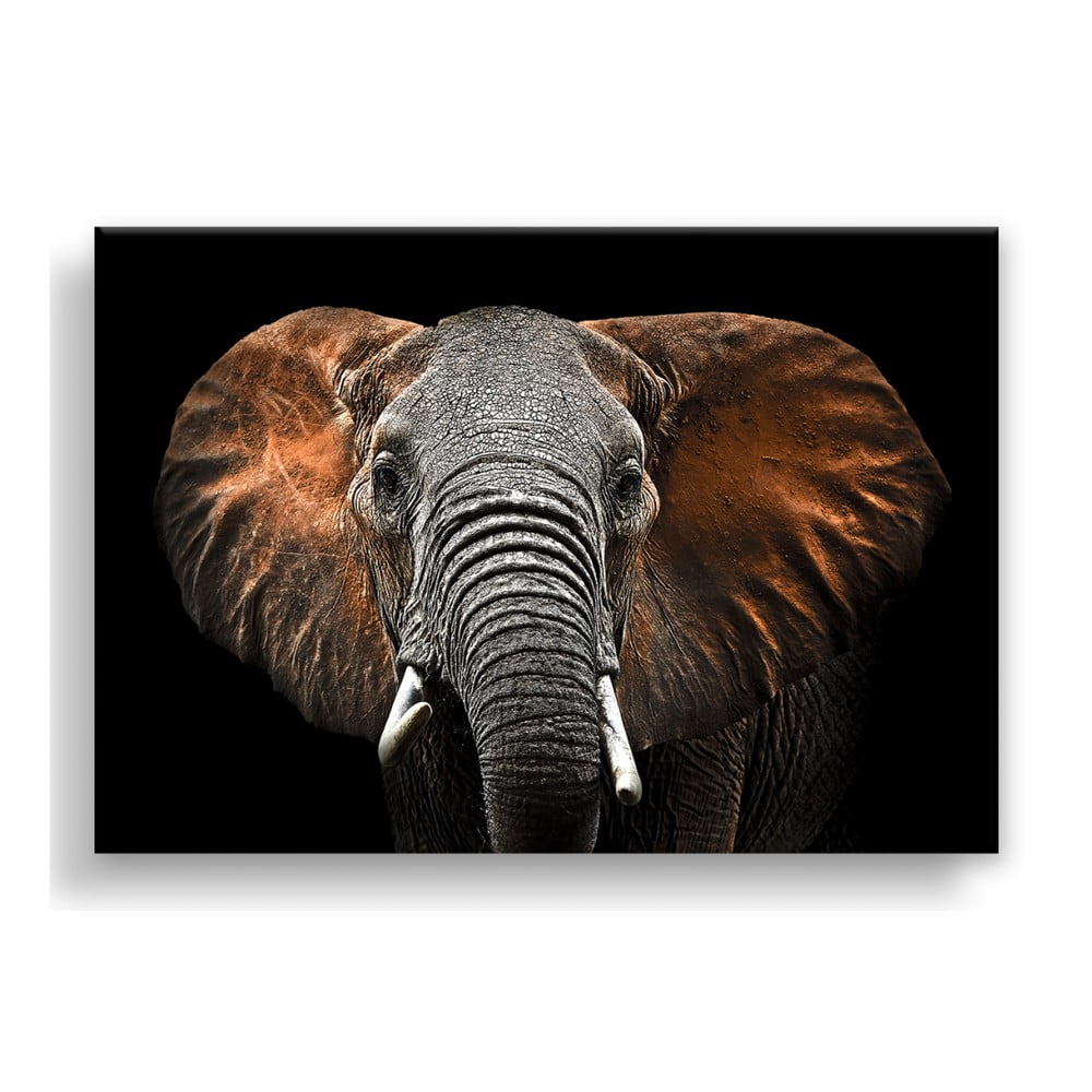 Poza Tablou Styler Canvas Silver Uno Elephant, 85 x 113 cm