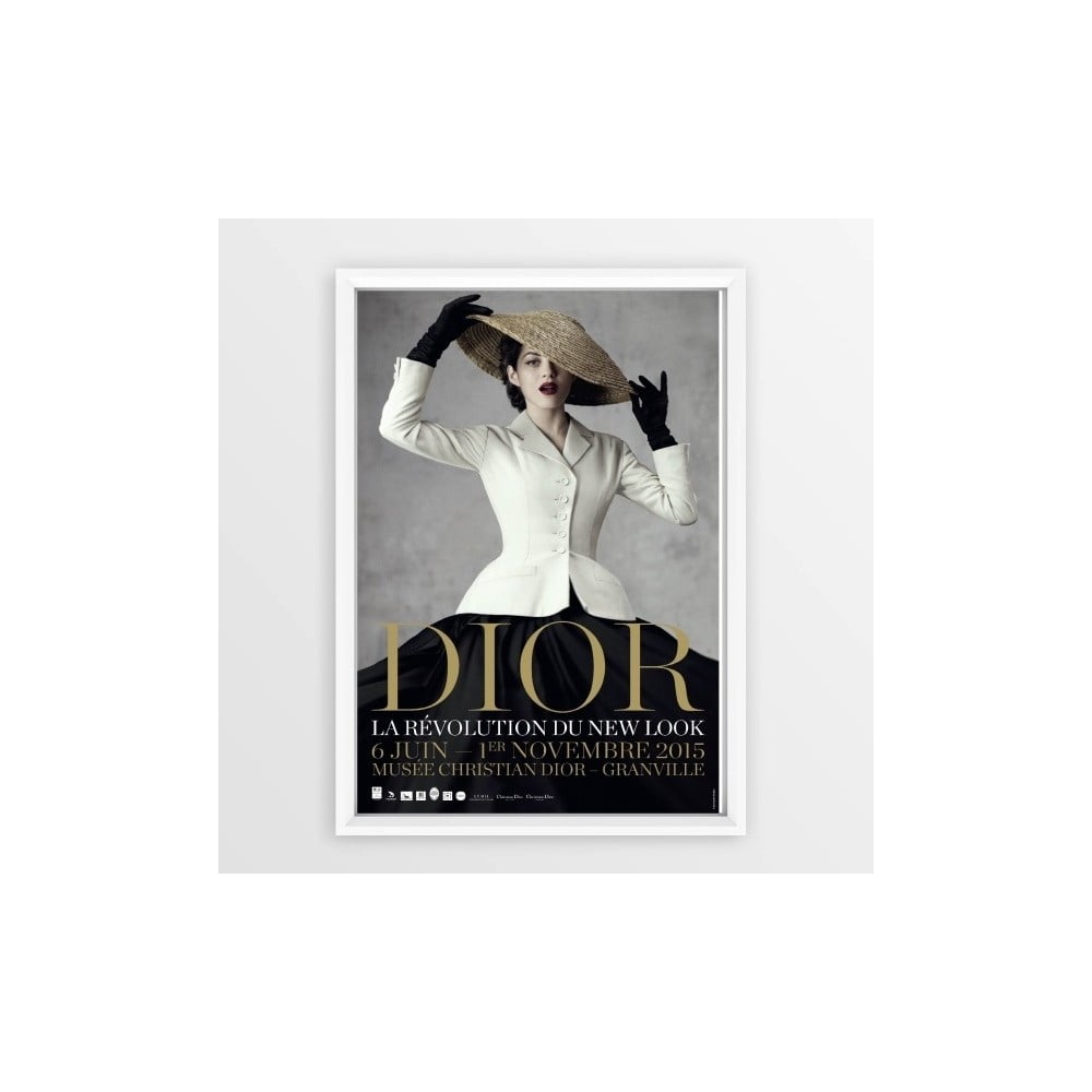 Tablou cu ramă Piacenza Art Dior With Hat, 23 x 33 cm