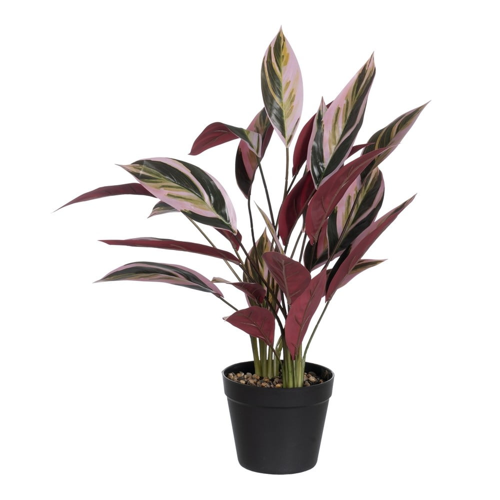 Plantă artificială (înălțime 55 cm) Bird of Paradise – Ixia