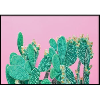 Poster cu ramă pentru perete CACTUS, 40 x 50 cm