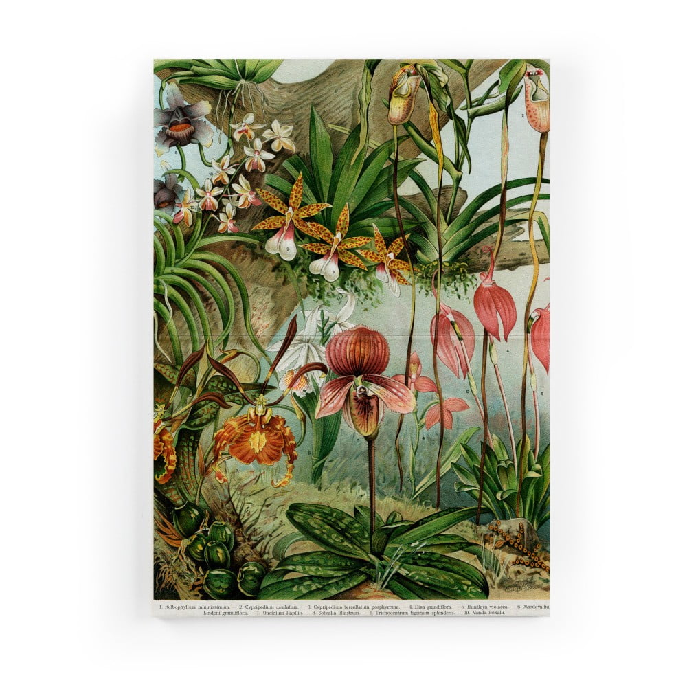 Tablou pe pânză Surdic Jungle Flowers, 50 x 70 cm bonami.ro