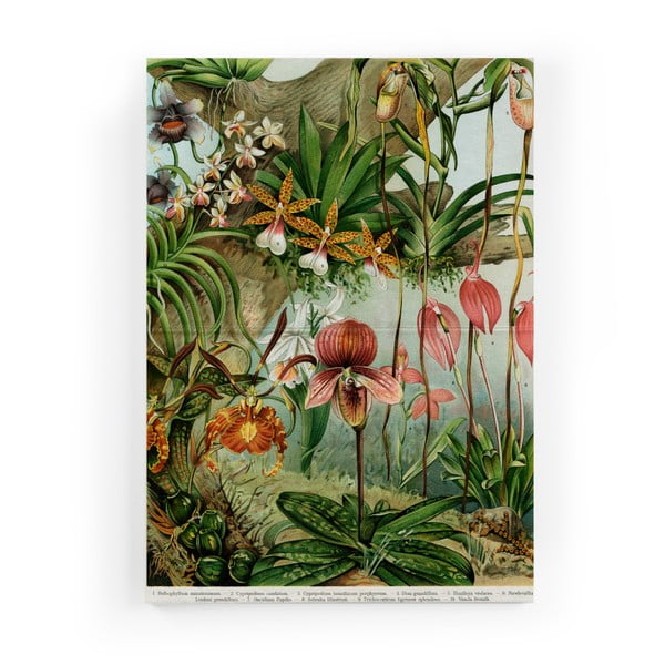 Tablou pe pânză Surdic Jungle Flowers, 40 x 60 cm