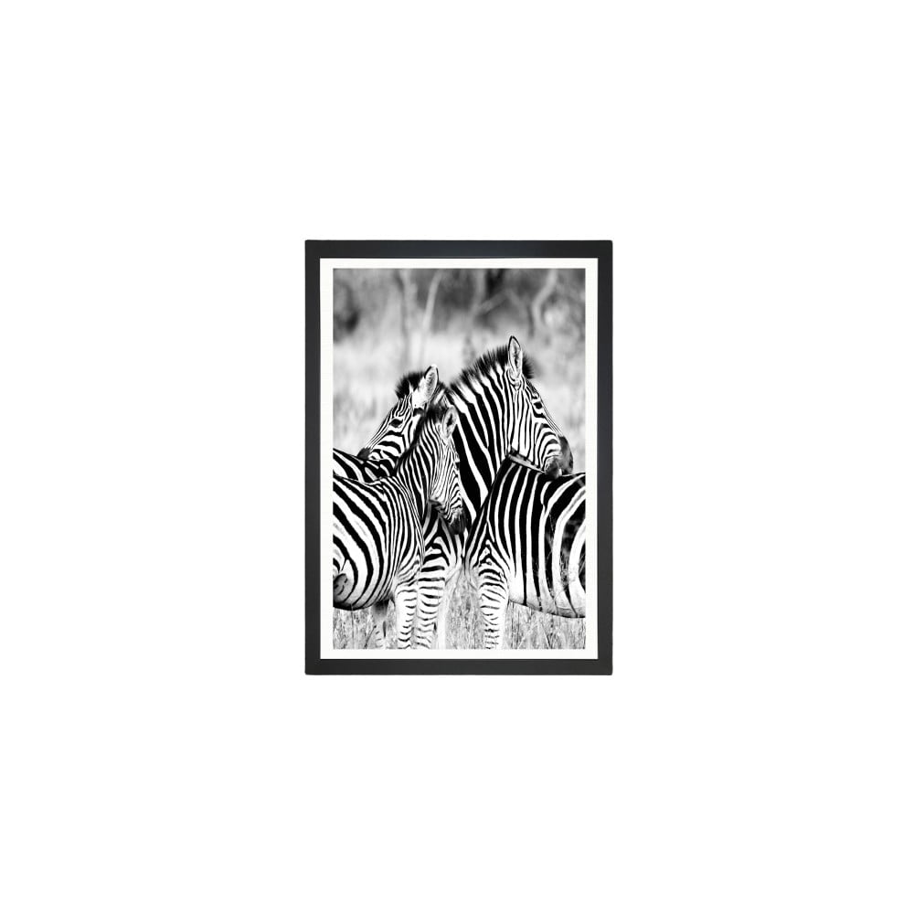 Tablou Tablo Center Zebras, 24 x 29 cm bonami.ro imagine 2022