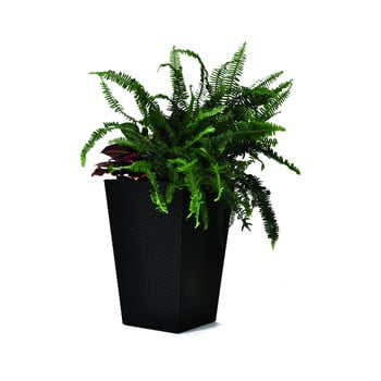 Ghiveci de grădină keter kind, înălțime 57 cm, maro