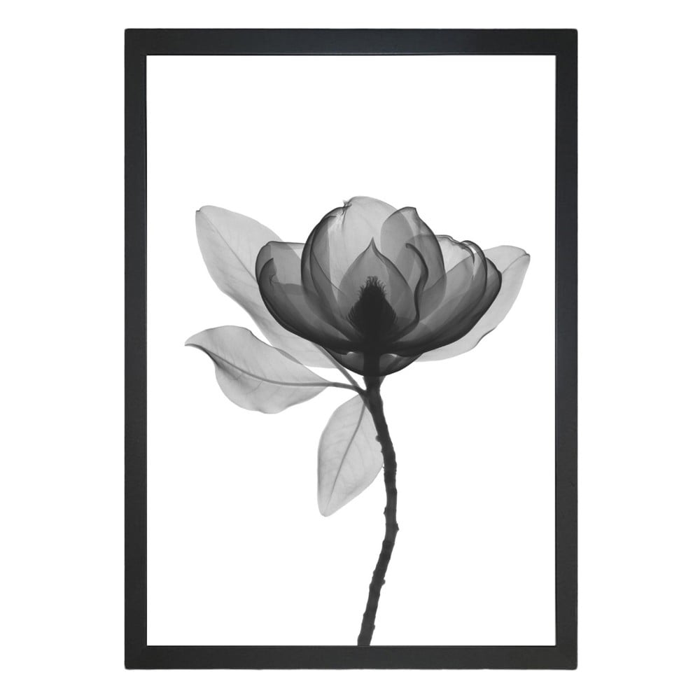 Poster 24x29 cm Harmony Flower - Tablo Center