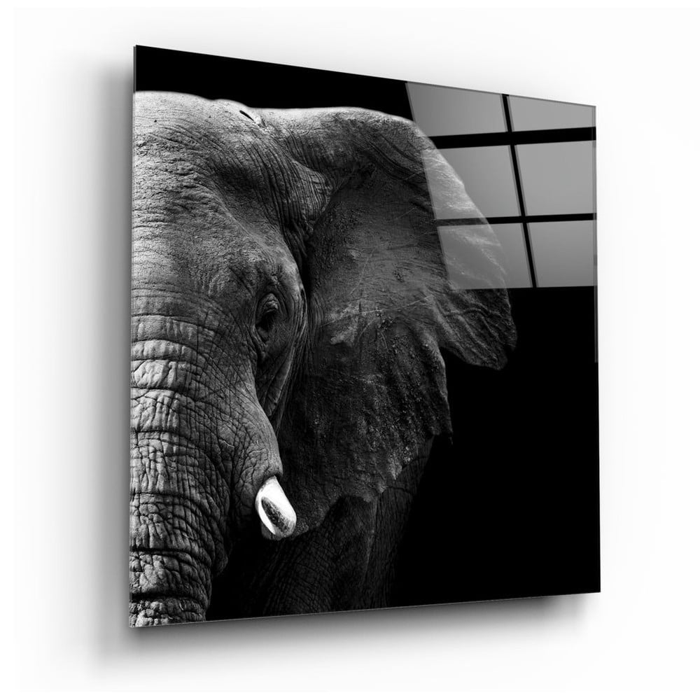 Tablou din sticlă Insigne Elephant, 100 x 100 cm