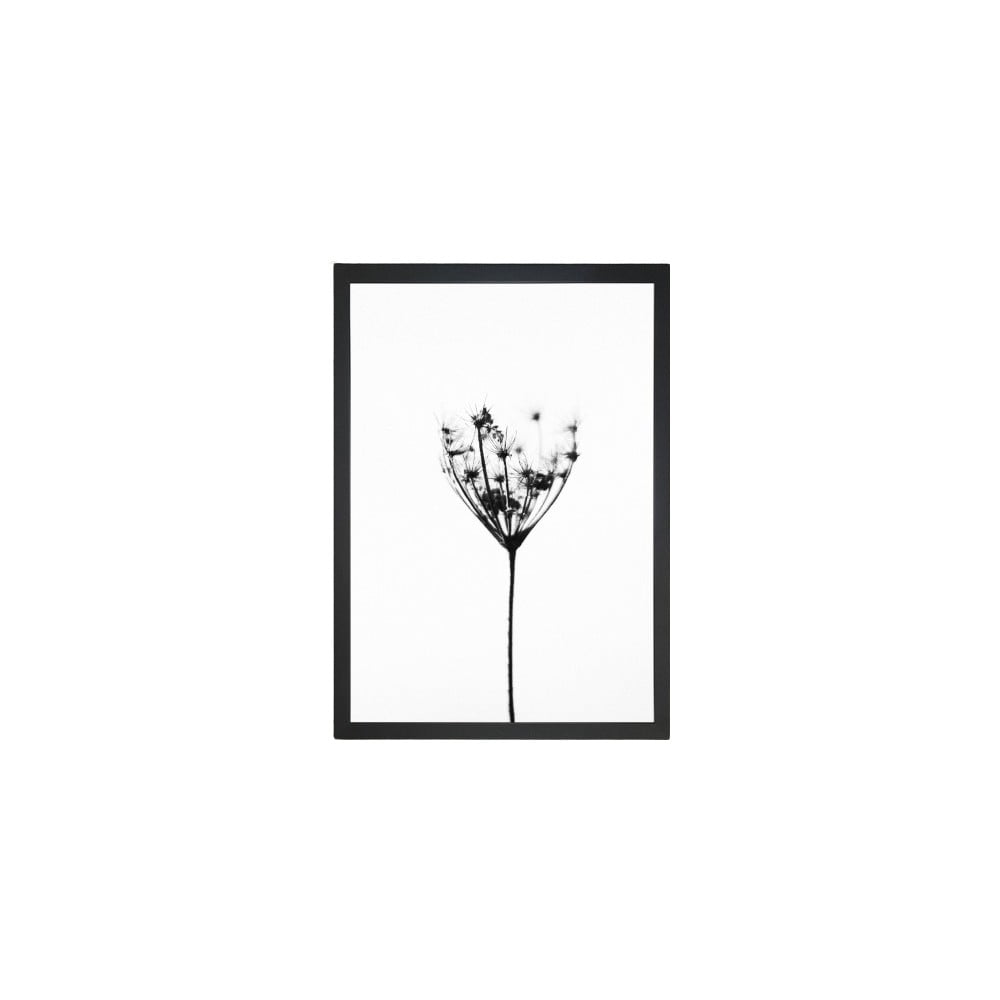 Tablou Tablo Center Misty Splender, 24 x 29 cm bonami.ro imagine 2022