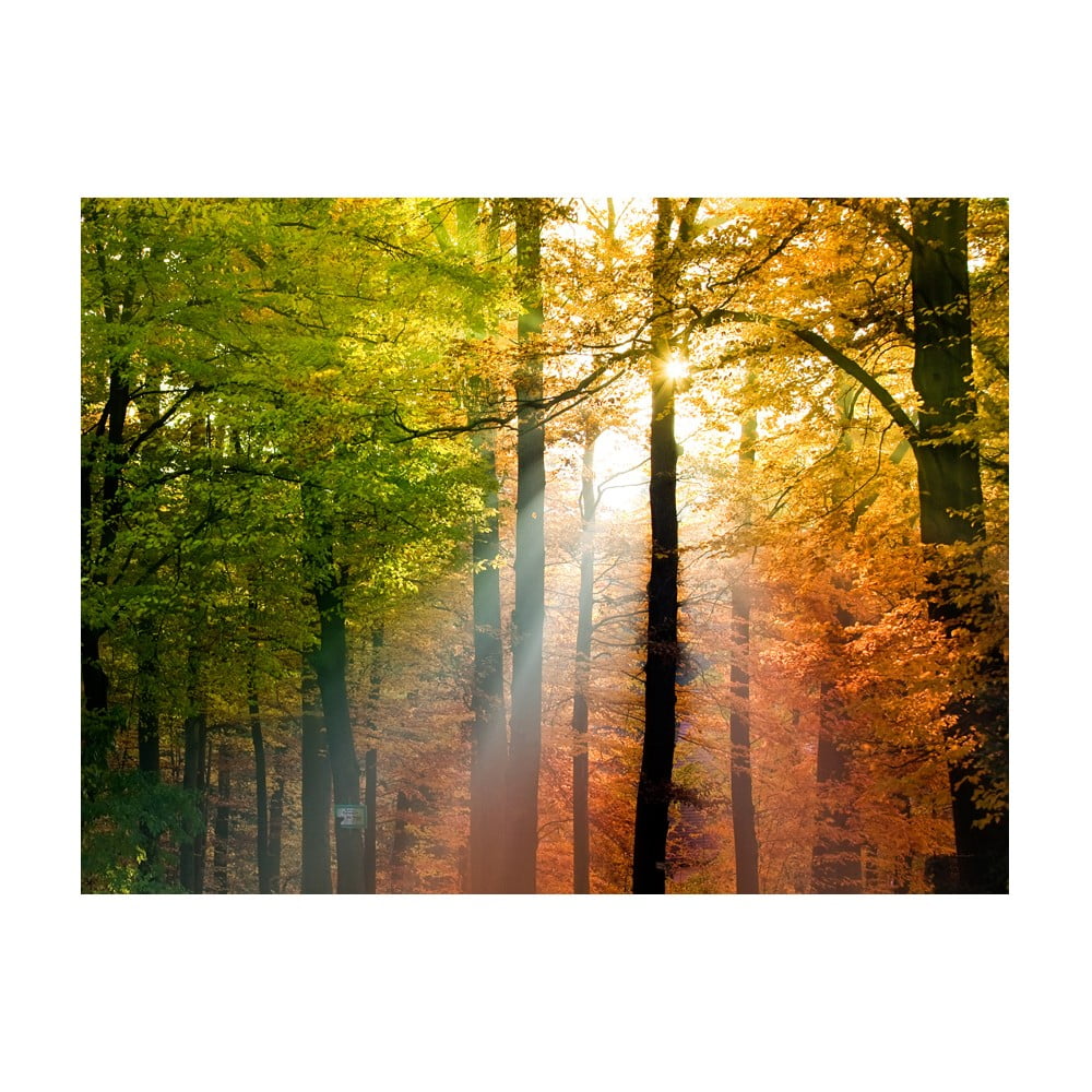 Tapet în format mare Artgeist Beautiful Autumn, 400 x 309 cm Artgeist imagine 2022