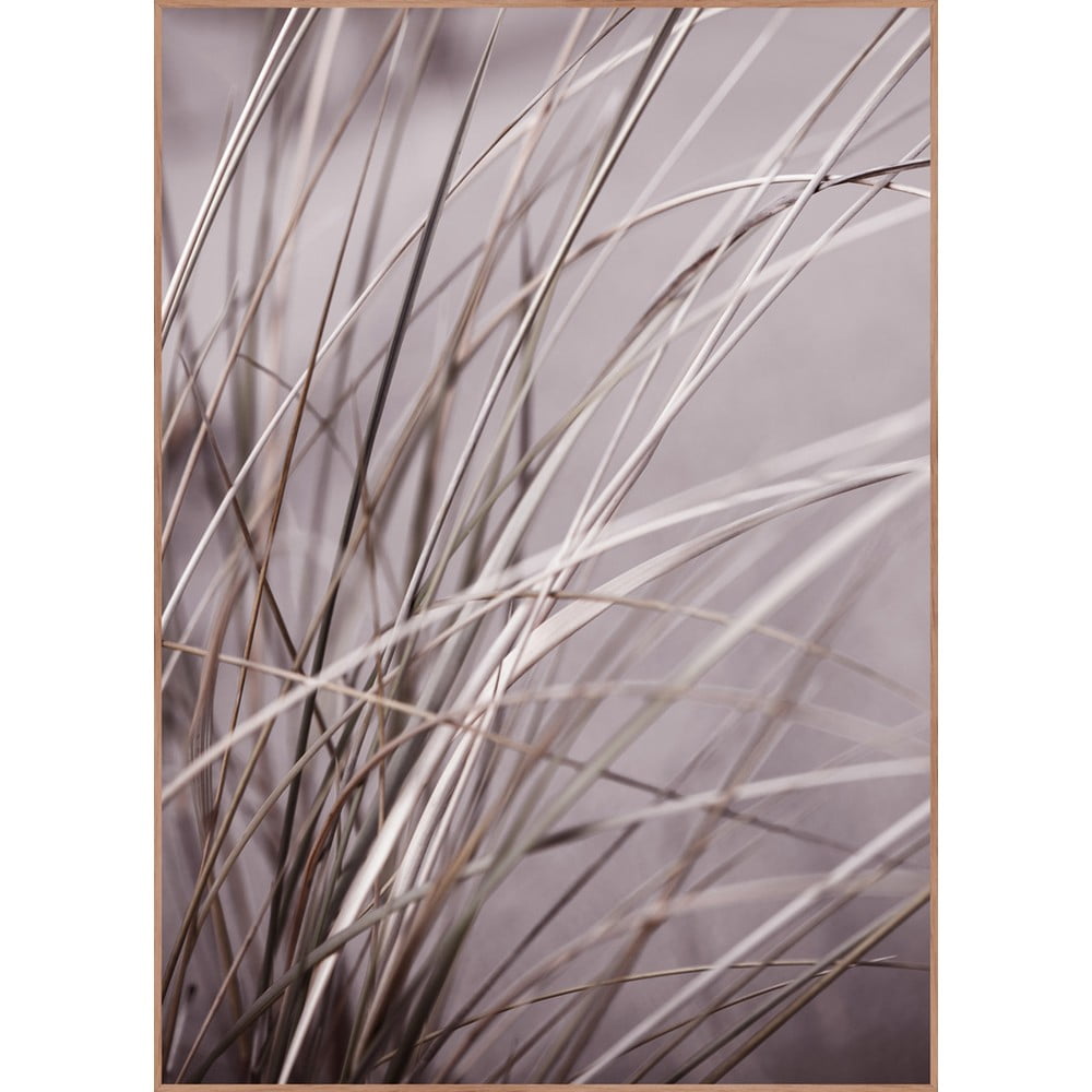 Tablou 50x70 cm Mellow Grasses 1 – Malerifabrikken