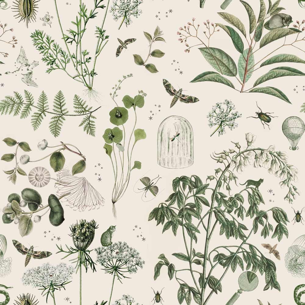 Tapet 100×280 cm Green Botanical Stories – Dekornik 100x280 pret redus