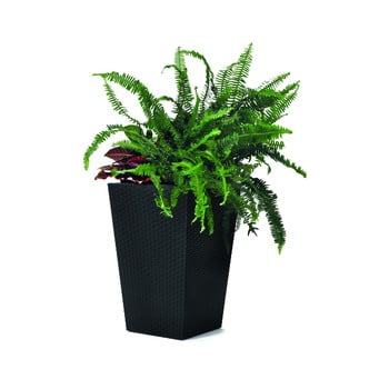 Ghiveci de grădină keter kind, înălțime 44 cm, gri