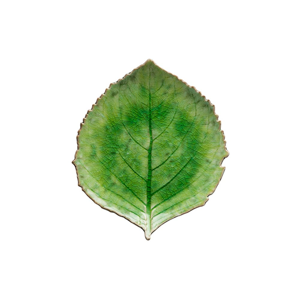 Farfurie din gresie ceramică Costa Nova Riviera, 19 x 22 cm, verde bonami.ro imagine 2022