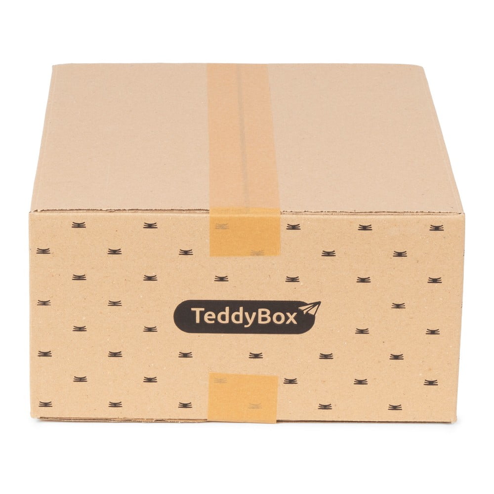  Set de 3 cutii de depozitare bej Compactor Teddy, 35 x 15 cm 