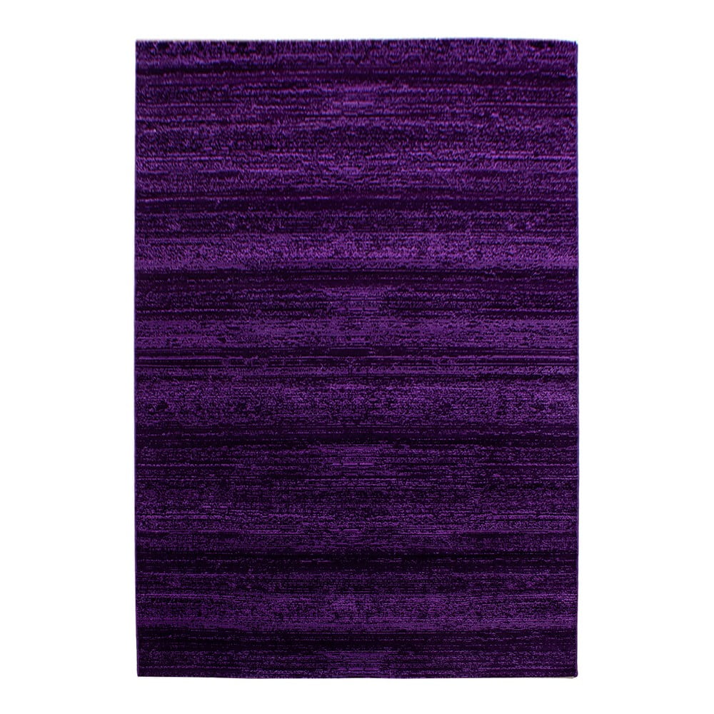 Covor violet 160x230 cm Plus – Ayyildiz Carpets