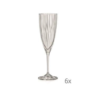 Set 6 pahare pentru șampanie crystalex kate optic, 220 ml