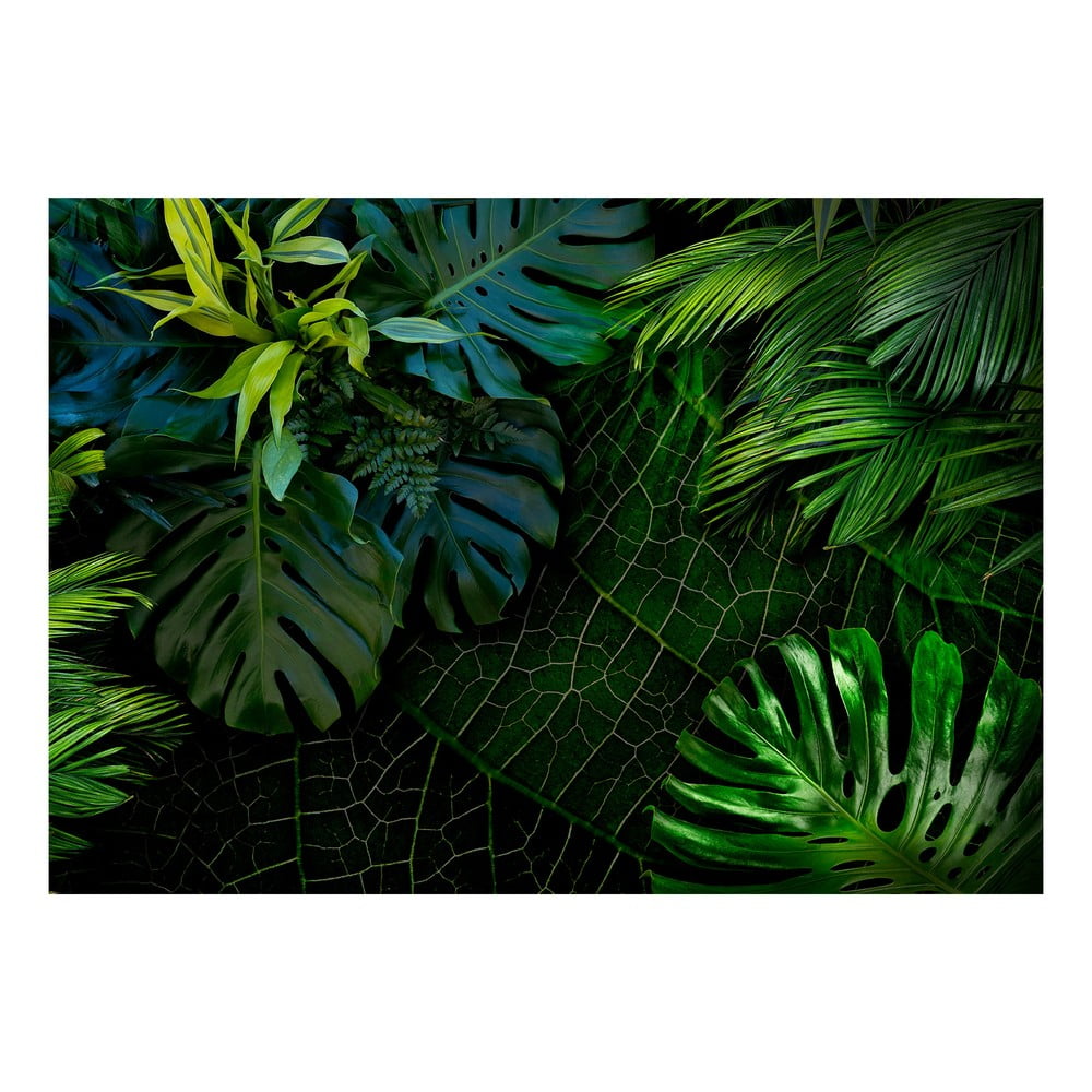 Tapet în format mare Artgeist Dark Jungle, 400 x 280 cm Artgeist imagine 2022