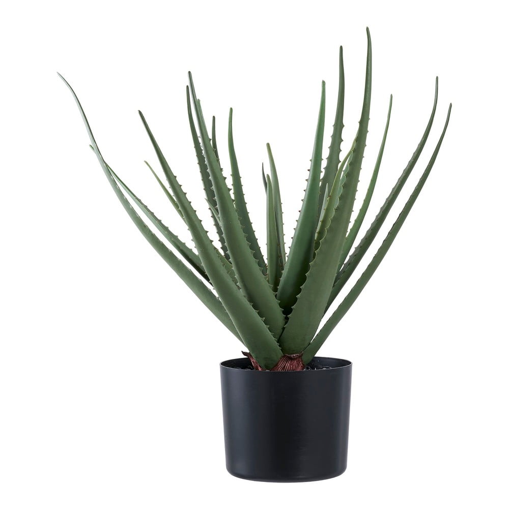 Plantă artificială (înălțime 51 cm) Aloe Vera – House Nordic