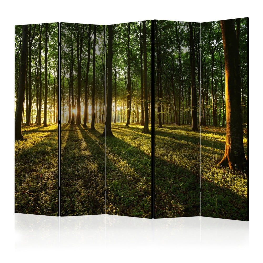 Paravan Artgeist Morning Forest, 225 x 172 cm