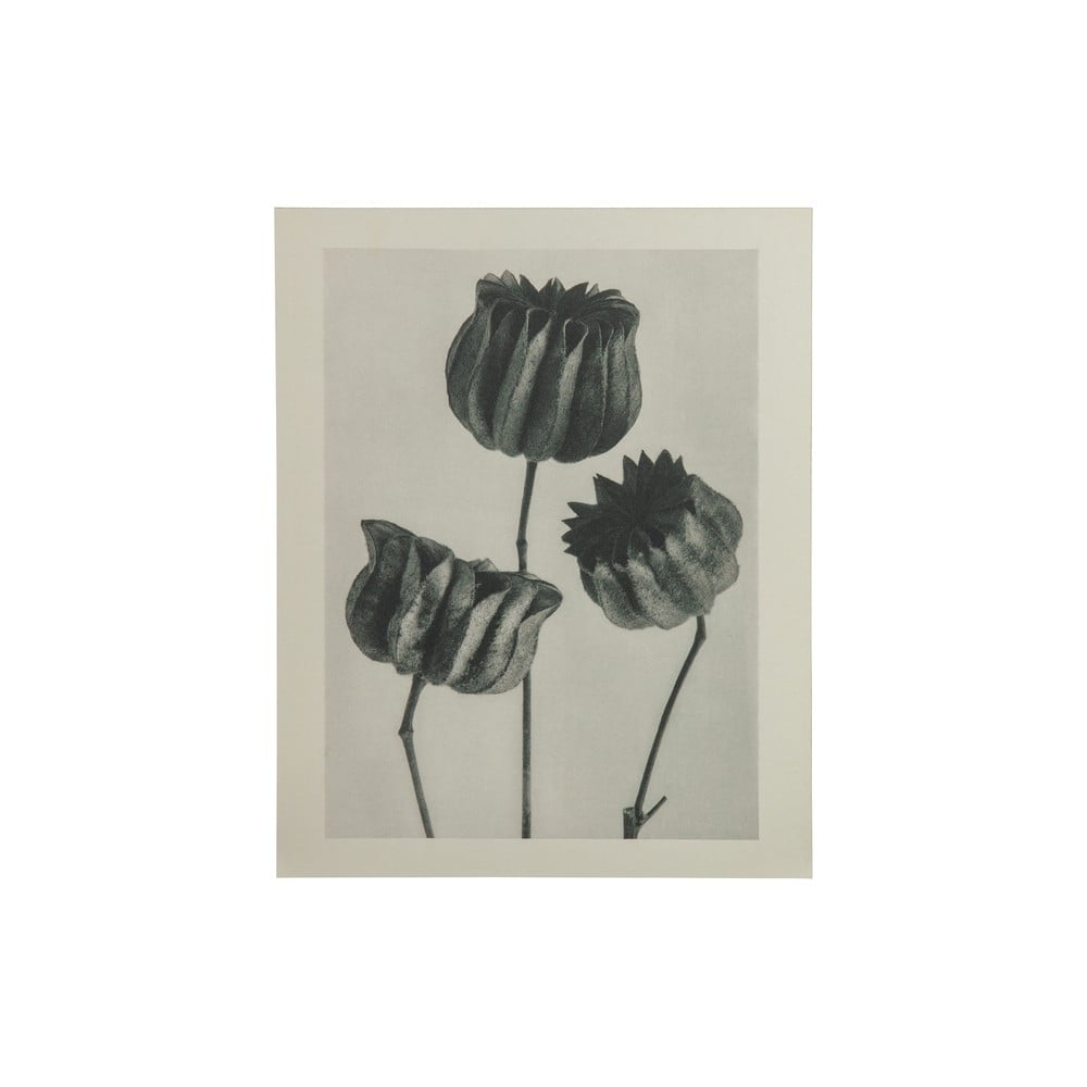 Tablou BePureHome Artwork Poppy, bej - gri