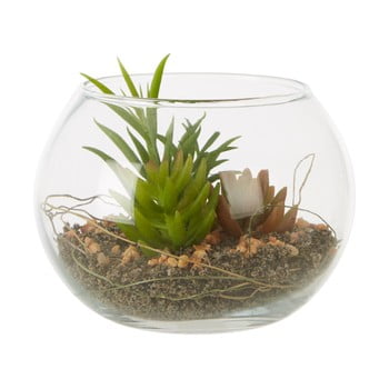 Plantă suculentă artificială în ghiveci din sticlă premier housewares fiori