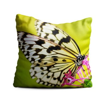 Pernă Oyo home Butterfly, 40 x 40 cm, verde