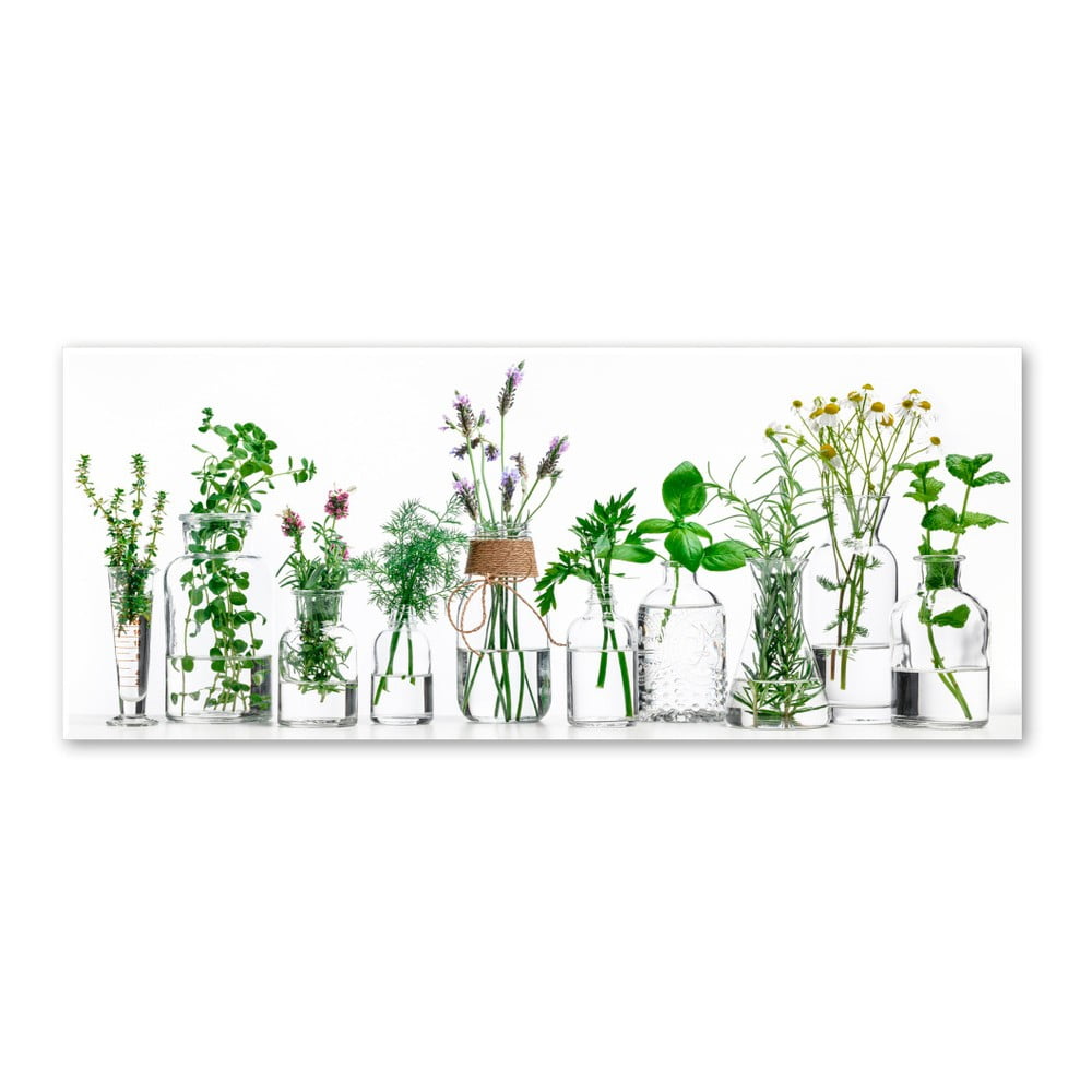 Tablou Styler Glasspik Herbs, 30 x 80 cm