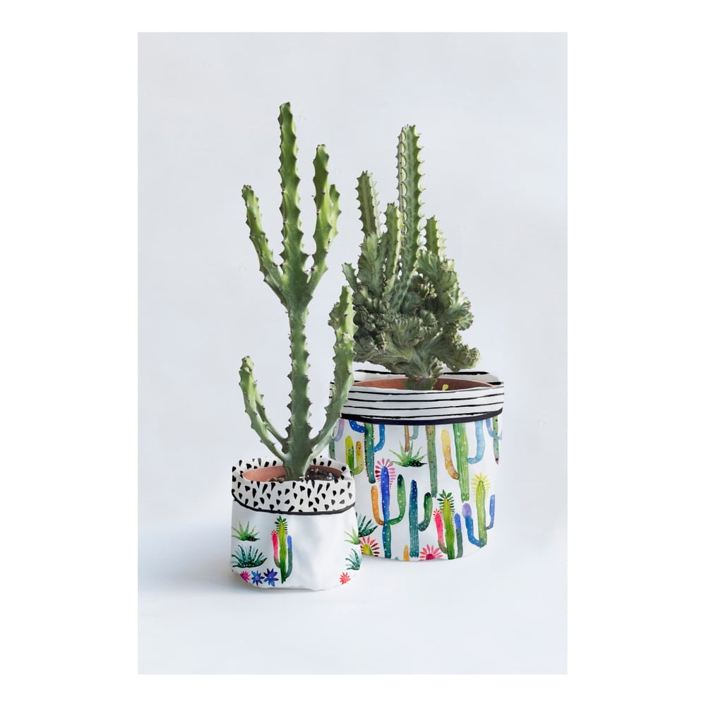 Poza Set 2 ghivece Surdic Watercolor Cactus